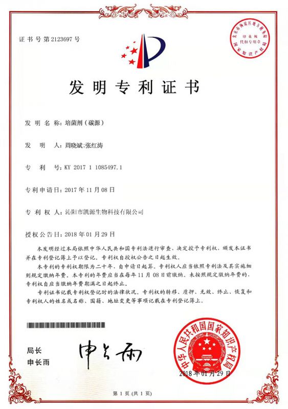 專利證書